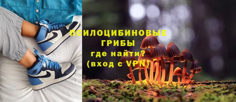 Галлюциногенные грибы MAGIC MUSHROOMS  как найти наркотики  Балей 